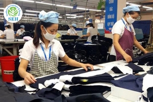 Phân Loại Lao Động Theo Điều Kiện